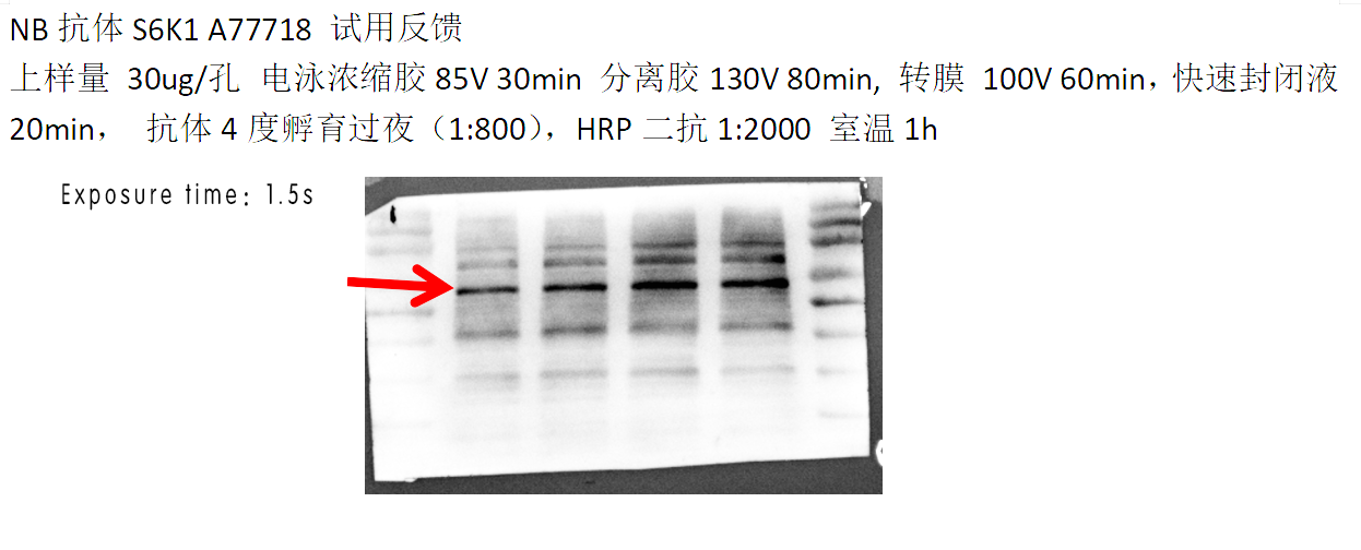 微信图片_20231026153230.png